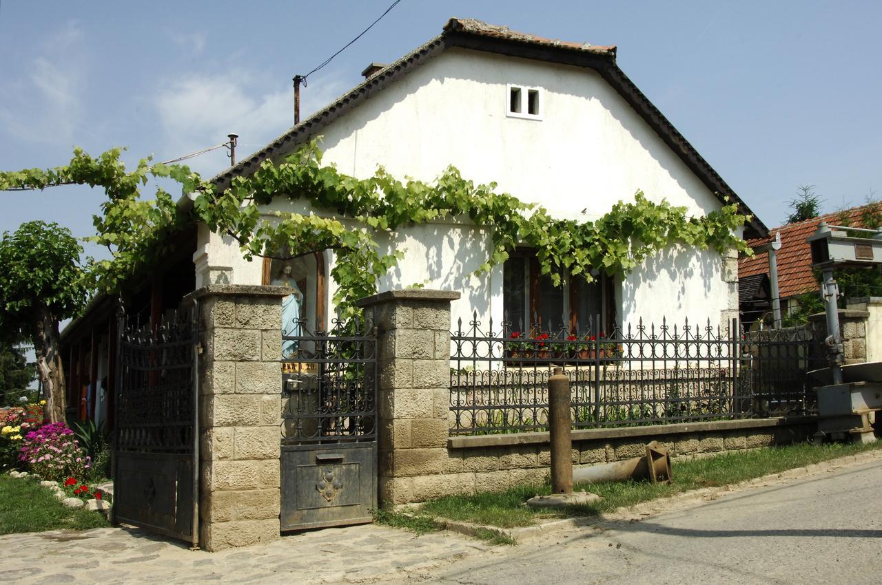 Pataky Borporta Bed and Breakfast Tarcal Εξωτερικό φωτογραφία