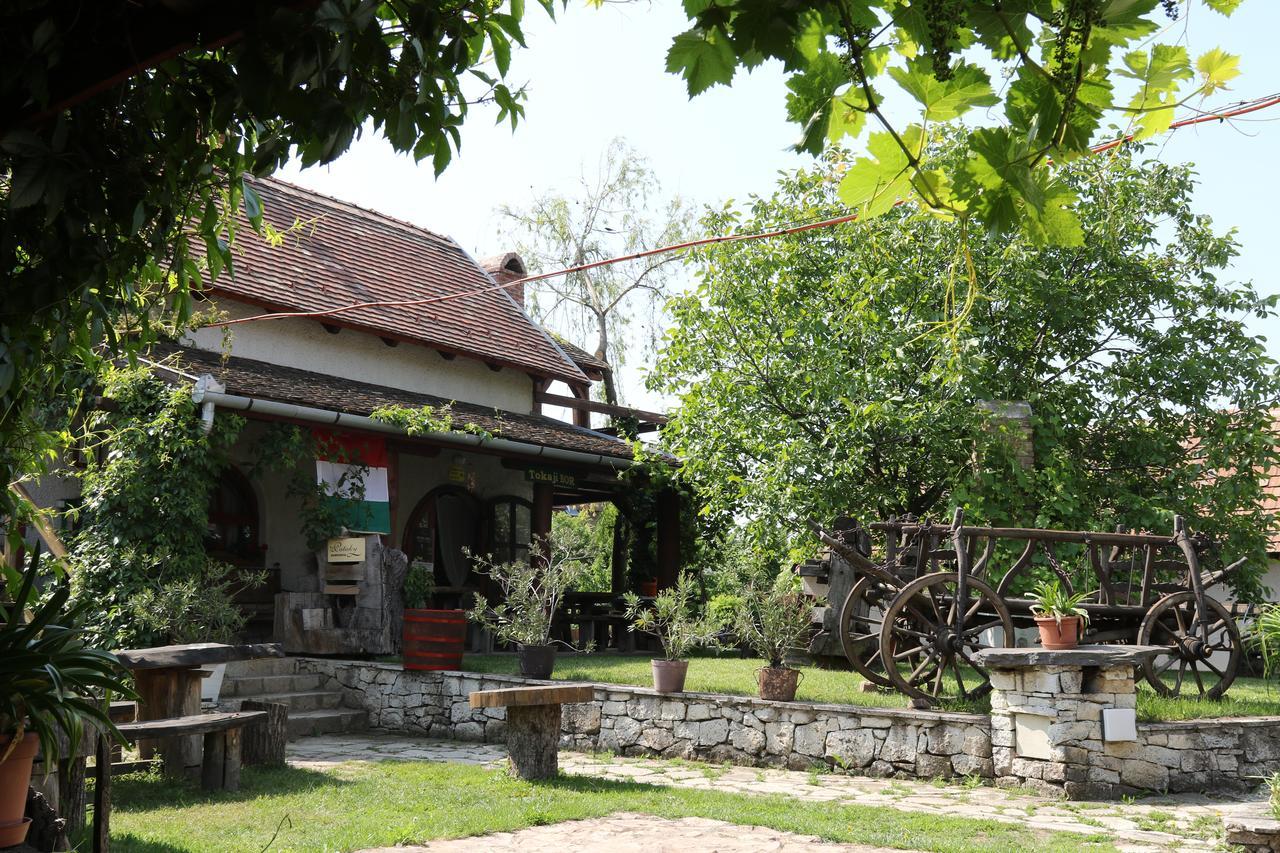 Pataky Borporta Bed and Breakfast Tarcal Εξωτερικό φωτογραφία