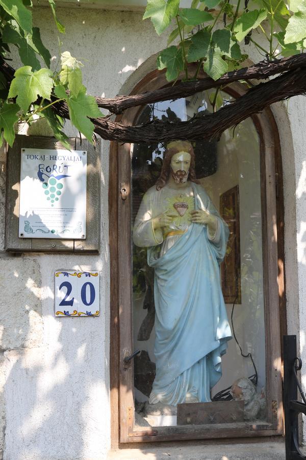 Pataky Borporta Bed and Breakfast Tarcal Εξωτερικό φωτογραφία