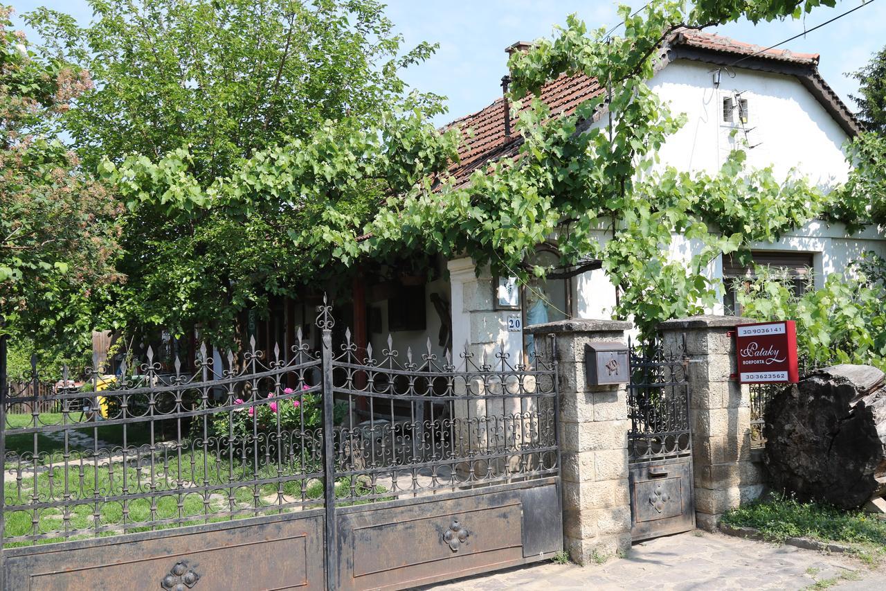 Pataky Borporta Bed and Breakfast Tarcal Εξωτερικό φωτογραφία