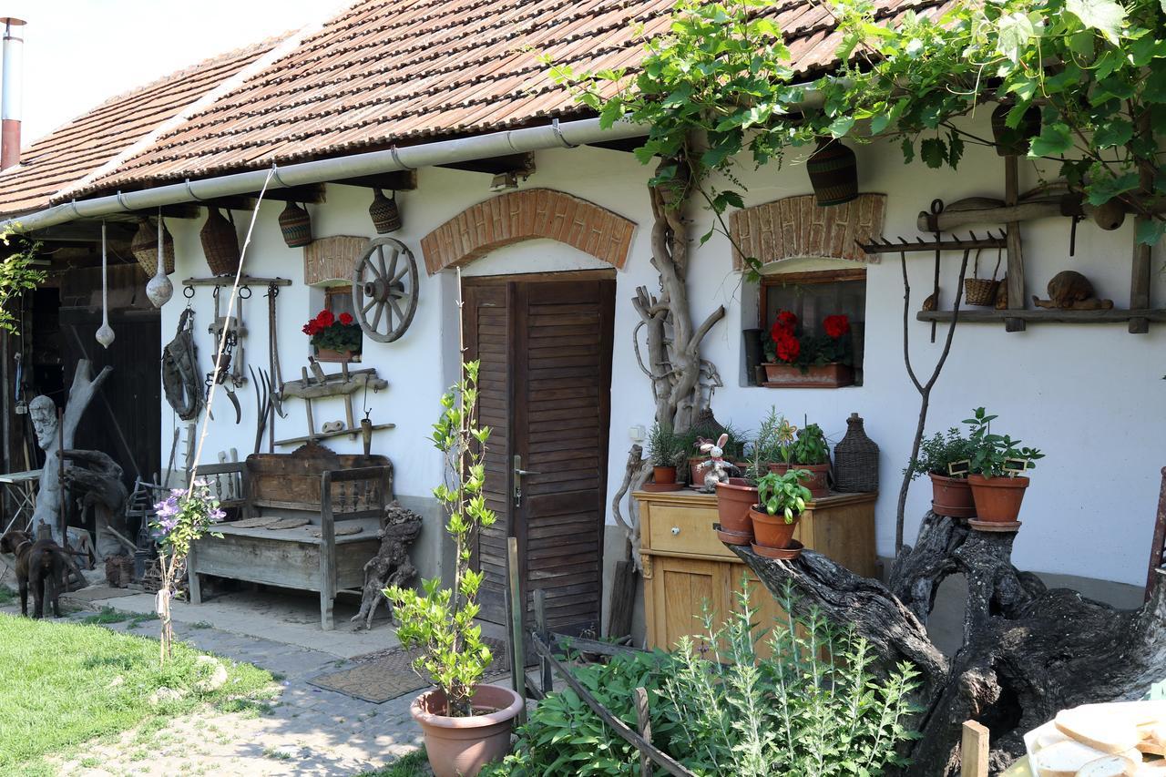 Pataky Borporta Bed and Breakfast Tarcal Εξωτερικό φωτογραφία