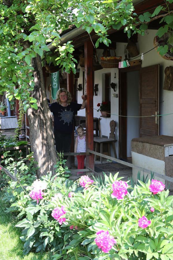 Pataky Borporta Bed and Breakfast Tarcal Εξωτερικό φωτογραφία