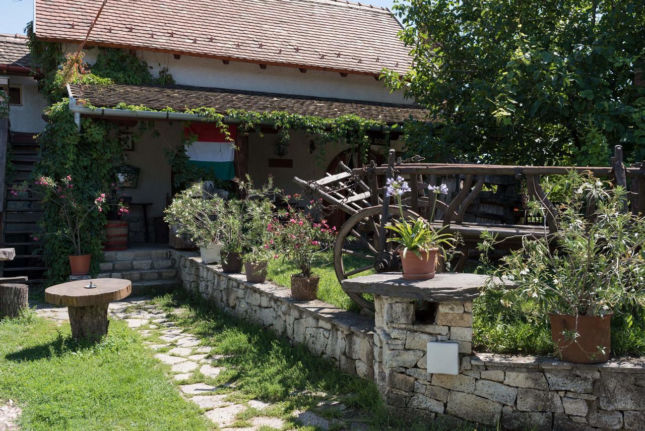 Pataky Borporta Bed and Breakfast Tarcal Εξωτερικό φωτογραφία